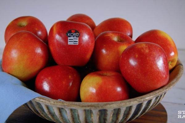 Screen-Shot-2019-12-05-at-11.51.09-AM-1